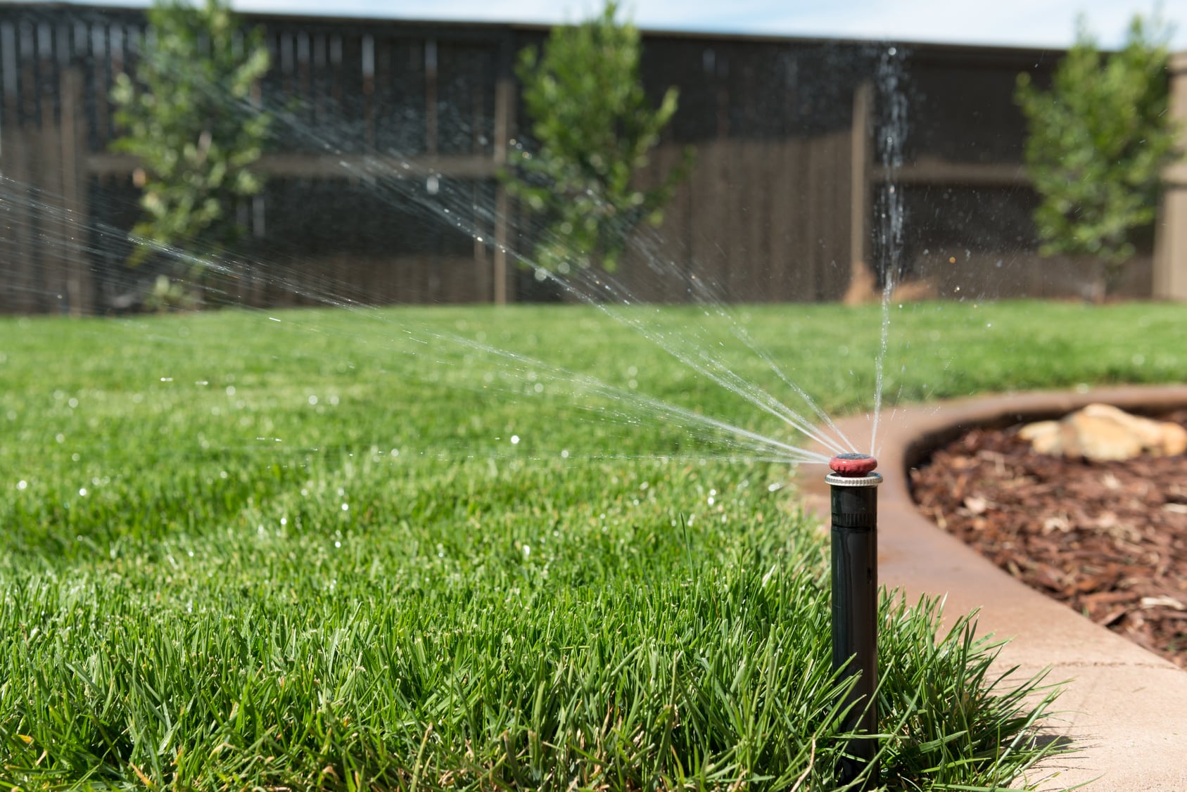 Why Do Lawn Sprinklers Waste So Much Water