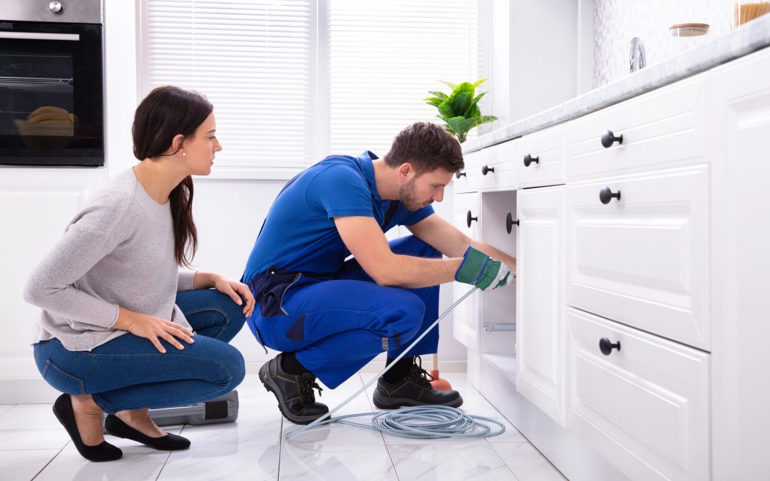 drain cleaning